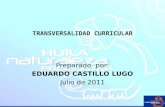 TRANSVERSALIDAD CURRICULAR Preparado por: EDUARDO CASTILLO LUGO Julio de 2011.