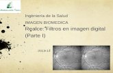 Ingeniería de la Salud IMAGEN BIOMEDICA Realce: Filtros en imagen digital (Parte I) 2013-14.