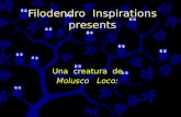 Filodendro Inspirations presents Una creatura de Molusco Loco: