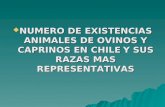 NUMERO DE EXISTENCIAS ANIMALES DE OVINOS Y CAPRINOS EN CHILE Y SUS RAZAS MAS REPRESENTATIVAS.
