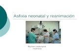 Asfixia neonatal y reanimación Myriam maturana matrona.