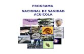 PROGRAMA NACIONAL DE SANIDAD ACUÍCOLA. PROGRAMA NACIONAL DE DESARROLLO DE LA PESCA Y SUS RECURSOS 1990 - 1994 Se promoverá el establecimiento de un sistema.