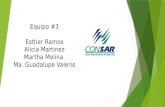 Equipo #3 Esther Ramos Alicia Martinez Martha Molina. Ma. Guadalupe Valerio.