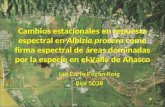Cambios estacionales en repuesta espectral en Albizia procera como firma espectral de áreas dominadas por la especie en el Valle de Añasco Ian Carlo Pagán.
