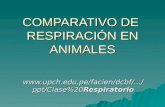 COMPARATIVO DE RESPIRACIÓN EN ANIMALES  /Clase%20Respiratorio.