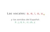 Las vocales: a, e, i, o, u y los sonidos del Español: ñ, j, ll, h, rr, ch, z.