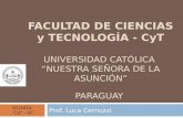 FACULTAD DE CIENCIAS y TECNOLOGÍA - CyT UNIVERSIDAD CATÓLICA “NUESTRA SEÑORA DE LA ASUNCIÓN” PARAGUAY Prof. Luca Cernuzzi 07/2014 CyT - UC