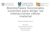 Biointerfases funcionales vivientes para dirigir las interacciones célula-material Aleixandre Rodrigo Navarro Directores: Manuel Salmerón-Sánchez Patricia.