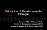 Principios Unificadores en la Biología Armando Valdés Velásquez, Ph.D. Sección de Ciencias Ambientales / UPCH Unidad de Biología de la Conservación / FCH.