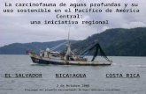 La carcinofauna de aguas profundas y su uso sostenible en el Pacífico de América Central: una iniciativa regional NICARAGUACOSTA RICAEL SALVADOR 2 de 0ctubre.