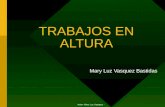 TRABAJOS EN ALTURA Mary Luz Vasquez Bastidas Autor: Mary Luz Vasquez -