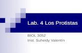 Lab. 4 Los Protistas BIOL 3052 Inst. Suheidy Valentín.