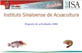 SECRETARIA DE AGRICULTURA, GANADERIA Y PESCA INSTITUTO SINALOENSE DE ACUACULTURA Reporte de actividades 2006.
