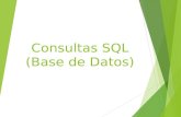 Consultas SQL (Base de Datos). SQL - Introducción Las Sentencias del SQL se dividen en:  Sentencias DDL (Data Definition Language): Permiten crear/modificar/borrar.