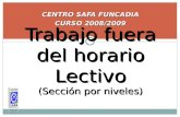 CENTRO SAFA FUNCADIA CURSO 2008/2009 Trabajo fuera del horario Lectivo (Sección por niveles)