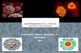 Stepfanie Yohana González C. Biología904. Enfermedad gastrointestinal ( )que ocurre esporádicamente o en brotes causada por el Norovirus (). Enfermedad.