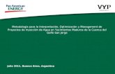Metodología para la Interpretación, Optimización y Management de Proyectos de Inyección de Agua en Yacimientos Maduros de la Cuenca del Golfo San Jorge.