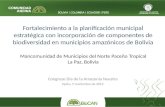 Fortalecimiento a la planificación municipal estratégica con incorporación de componentes de biodiversidad en municipios amazónicos de Bolivia Mancomunidad.