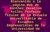 Bienvenido a la página Web de Günther Zevallos Avilés Profesor Titular de la Escuela Universitaria de Estudios Empresariales de la Universidad de Zaragoza.