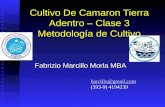 Cultivo De Camaron Tierra Adentro – Clase 3 Metodología de Cultivo Fabrizio Marcillo Morla MBA barcillo@gmail.com (593-9) 4194239.