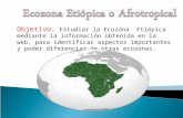 Objetivo: Estudiar la Ecozona Etiópica mediante la información obtenida en la web, para identificar aspectos importantes y poder diferenciar de otras ecozonas.