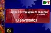 Instituto Tecnológico de Durango CIEEA 2006 Bienvenidos.