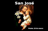 San José Fiesta: 19 de marzo San Mateo (1:16) llama a San José el hijo de Jacob; según San Lucas (3:23), su padre era Heli. Probablemente nació en Belén,