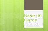 Base de Datos Tricia Salazar Valverde. Base de Datos  Conjunto perteneciente a un mismo contexto y almacenados en un software para su posterior uso.