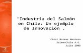 César Barros Montero SalmonChile A.G. Julio 2008 “Industria del Salmón en Chile: Un ejemplo de Innovación”.
