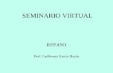 SEMINARIO VIRTUAL REPASO Prof. Guillermo García Bazán.