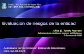 Evaluación de riesgos de la entidad Alina E. Torres Marrero Adiestramiento Auditores Internos del Gobierno 2 de mayo de 2008 Estado Libre Asociado de Puerto.