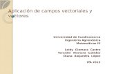 Aplicación de campos vectoriales y vectores Universidad de Cundinamarca Ingeniería Agronómica Matemáticas III Leidy Giomara Castro Yarardin Xiomara Cubides.