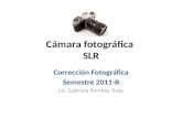 Cámara fotográfica SLR Corrección Fotográfica Semestre 2011-B Lic. Gabriela Ramírez Trejo.