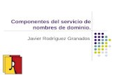 Componentes del servicio de nombres de dominio. Javier Rodríguez Granados.