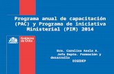 Programa anual de capacitación (PAC) y Programa de iniciativa Ministerial (PIM) 2014 Dra. Carolina Asela A. Jefa Depto. Formación y desarrollo DIGEDEP.