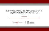 INFORME ANUAL DE ADJUDICACIÓN Y LIQUIDACIÓN DE CONTRATOS Año 2008.