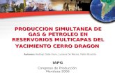PRODUCCION SIMULTANEA DE GAS & PETROLEO EN RESERVORIOS MULTICAPAS DEL YACIMIENTO CERRO DRAGON IAPG Congreso de Producción Mendoza 2006 Autores: Rodrigo.