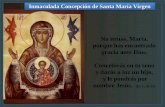 Inmaculada Concepción de Santa María Virgen No temas, María, porque has encontrado gracia ante Dios. Concebirás en tu seno y darás a luz un hijo, y le.