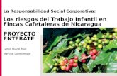 La Responsabilidad Social Corporativa: Los riesgos del Trabajo Infantil en Fincas Cafetaleras de Nicaragua PROYECTO ENTERATE Lynda Diane Mull Martine Combemale.