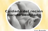 Cuidado del recién nacido ventilado Luz Ángela Mahecha H.