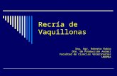 Recría de Vaquillonas Ing. Agr. Roberto Rubio Dto. de Producción Animal Facultad de Ciencias Veterinarias UNCPBA.