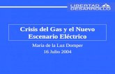 Crisis del Gas y el Nuevo Escenario Eléctrico María de la Luz Domper 16 Julio 2004.