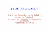 VIDA SALUDABLE Depto. de Promoción de la Salud y Unidad de Nutrición División de Rectoría y Regulación Sanitaria MINISTERIO DE SALUD.