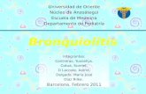 Rilke Díaz La bronquiolitis es una enfermedad aguda de etiología viral, caracterizada por obstrucción de la pequeña vía aérea. Cuadro Agudo SibilanciasSibilancias.