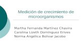 Medición de crecimiento de microorganismos Martha Fernanda Martínez Chavira Carolina Lizeth Domínguez Erives Norma Angélica Bolivar Jacobo.