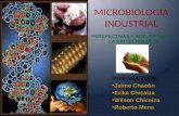 MICROBIOLOGIA INDUSTRIAL INTEGRANTES: Jaime Chacón Erika Chicaiza Wilson Chicaiza Roberto Mena PERSPECTIVAS Y ADELANTOS DE LA BIOTECNOLOGÍA.