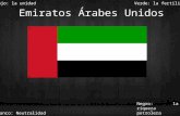 Emiratos Árabes Unidos Negro: la riqueza petrolera dentro de las fronteras del país Blanco: Neutralidad Verde: la fertilidadRojo: la unidad.