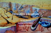 Dermatitis y Eccemas Jared Basso Luciano Campos Luana Martini.