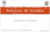Conceptos Contables y Análisis de Estados Financieros. Semestre 2011-1 Evaluación de Proyectos Documento Original: M. C. Víctor Mahbub Arelle.