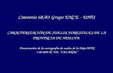 Convenio 68/83 Grupo ENCE - UHU CARACTERIZACIÓN DE SUELOS FORESTALES DE LA PROVINCIA DE HUELVA Presentación de la cartografía de suelos de la Hoja MTN.